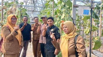 Cetak Petani Muda, Yayasan KERSA Minta Dukungan Alat Pertanian dan Solusi Regulasi